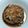 はぷた's cooksnap of when they made 簡単！ジューシー ハンバーグ.