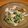 Little-HAL's cooksnap of when they made もやしとあさりの生姜炒め.