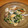 Little-HAL's cooksnap of when they made もやしとあさりの生姜炒め.