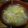 ramieru's cooksnap of when they made 餃子のタネ、残ったらうまスープ.