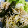 ばるさもす's cooksnap of when they made お弁当に★もやしの磯辺和え.