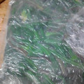 あこっこ's cooksnap of when they made ほうれん草の冷凍保存.