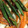クックON9DUO☆'s cooksnap of when they made 簡単比で失敗なし　新玉ねぎで　南蛮漬け.