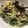 クックOIPXM0☆'s cooksnap of when they made 水菜と塩昆布の和え物.