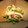 サクラメントの母's cooksnap of when they made 簡単 いか ピーマンの オイスター炒め！.