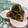 赤い電話's cooksnap of when they made ほうれん草の海苔巻き.