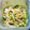 かめっきーな's cooksnap of when they made もやしのサッパリナムル.