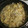 ◎ちゃ太郎◎'s cooksnap of when they made 白菜と豚肉のチーズ卵とじ.
