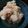 みい５２１２'s cooksnap of when they made ＊レンジで時短＊たらもサラダ＊.