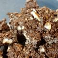 けんしんまる's cooksnap of when they made 乾パンdeクランチチョコレート.