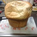 こたとはは's cooksnap of when they made ふわっふわ 全粒粉食パン･HB.