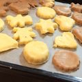 いーにく's cooksnap of when they made 簡単♡卵なしクッキー(プレーンほか).