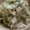 3kidsの母J's cooksnap of when they made あまり薬味で美味しい和え物！.