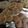 rahane's cooksnap of when they made 簡単！マシュマロチョコパイ♥.