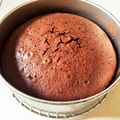 ::bis's cooksnap of when they made バレンタインに☆簡単！本格ガトーショコラ.