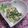 volvol's cooksnap of when they made ☆春菊とゆで卵のマヨポンあえ☆.