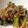 ポークの嫁's cooksnap of when they made ホウレンソウの軸と納豆の和え物.