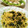 nanahouse1's cooksnap of when they made 玉ねぎとツナの和風パスタ.