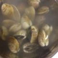 ginjin's cooksnap of when they made 【覚書】あさりの砂抜き.
