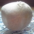 明日見's cooksnap of when they made 製粉からパン作り　白神こだま酵母で全粒粉パン.