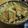 ふわふわふぅわ's cooksnap of when they made じゃがいものチヂミ.