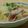 yappyパクパク's cooksnap of when they made 簡単 絶品♪ 豚肉 白菜の 胡麻味噌煮！.