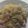 はなにむ's cooksnap of when they made 舞茸とベーコンの和風パスタ.