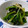 ピンクのたまご's cooksnap of when they made ほうれん草とわかめのしょうが和え.