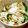 ワジママ's cooksnap of when they made 塩麹と塩こんぶの漬け物.