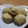 mandryu's cooksnap of when they made HMで簡単スコーン☆りんごジャム味.