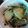 クックOSZZS5☆'s cooksnap of when they made 冬にぜひ♪タラの簡単甘酢炒め.