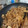 優★★'s cooksnap of when they made 豚キムチのゴマだれ炒め.