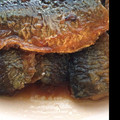 パピラノ's cooksnap of when they made フライパンで速攻！簡単！さんまの蒲焼き.