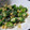 ちばたま's cooksnap of when they made ☆おくらとじゃこのもりもり天かす和え☆.