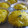 ちばたま's cooksnap of when they made かぼちゃの蒸しパン.