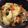 ☆ROKO☆'s cooksnap of when they made 白菜とじゃこ天の蒸し煮.