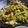 はと0218's cooksnap of when they made シャキシャキ野菜炒め.