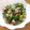 iketa's cooksnap of when they made 簡単☆レバーと砂肝のバター醤油炒め☆.