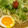 野菜のはたけ's cooksnap of when they made 。.:*:・'☆半熟煮卵.:*:・'°☆.