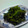 のじまさん's cooksnap of when they made 小松菜のからし和え.