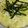 m0cha's cooksnap of when they made くたくたｷｬﾍﾞﾂの豆腐焼き.