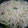 クックZPELOM☆'s cooksnap of when they made カニかまとレタスの塩焼きうどん.