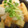 sonop's cooksnap of when they made うすあげのおろしあえ.