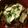 ♩キティ♩'s cooksnap of when they made 簡単やみつきタコライス.