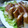 ケロらぶ's cooksnap of when they made ささみと白ねぎの甘みそ春巻き.