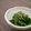 かじゅも's cooksnap of when they made 菜の花のごま和え.