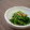 かじゅも's cooksnap of when they made 菜の花のごま和え.