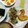 08261010's cooksnap of when they made 簡単！牛肉と白菜の炒め煮.