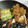 gomadachs's cooksnap of when they made 大根の皮で作るうまいエコ漬物.