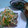 Toi0825's cooksnap of when they made さんまの南蛮風野菜のっけ盛り.